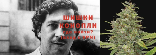 прущий лед Белокуриха