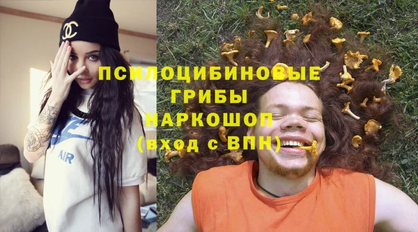 прущий лед Белокуриха